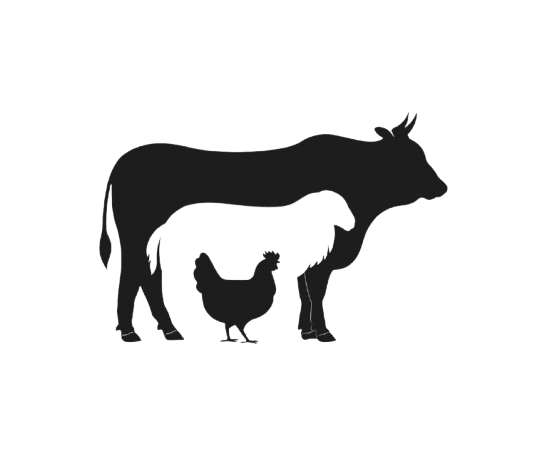 local-removebg-preview